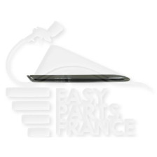 MOULURE INF AVD DE GRILLE DE CALANDRE CHROMEE 