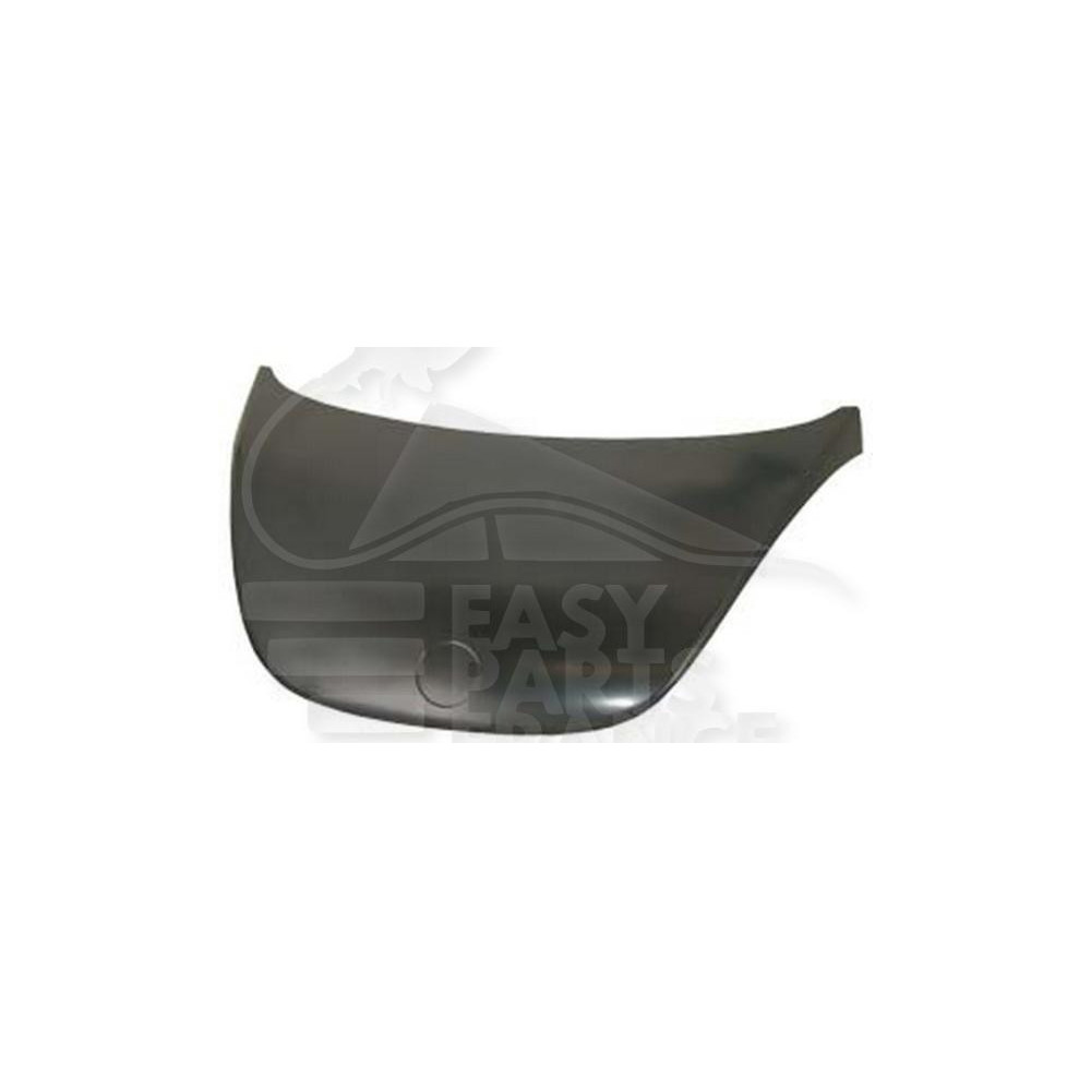 CAPOT pour VOLKSWAGEN NEW BEETLE