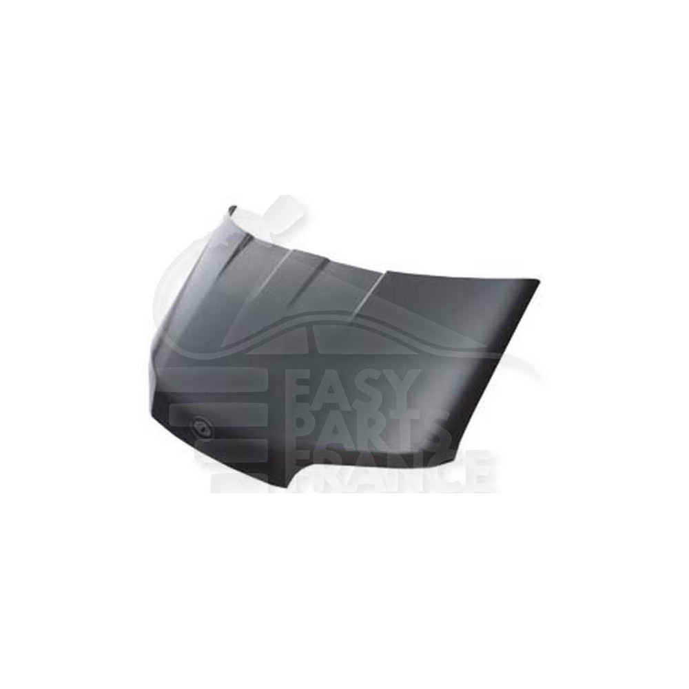 CAPOT pour FORD TRANSIT