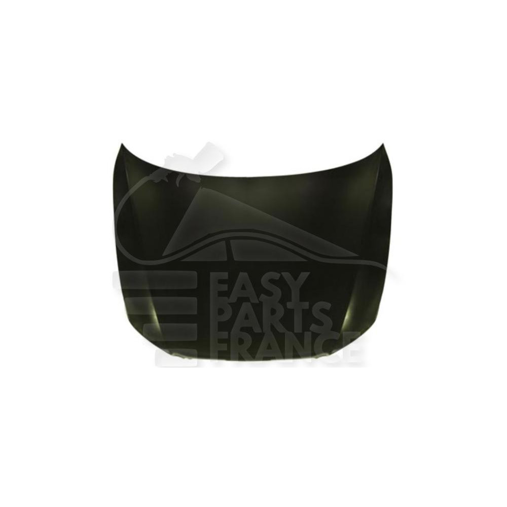 CAPOT pour BMW S5 GT F 07