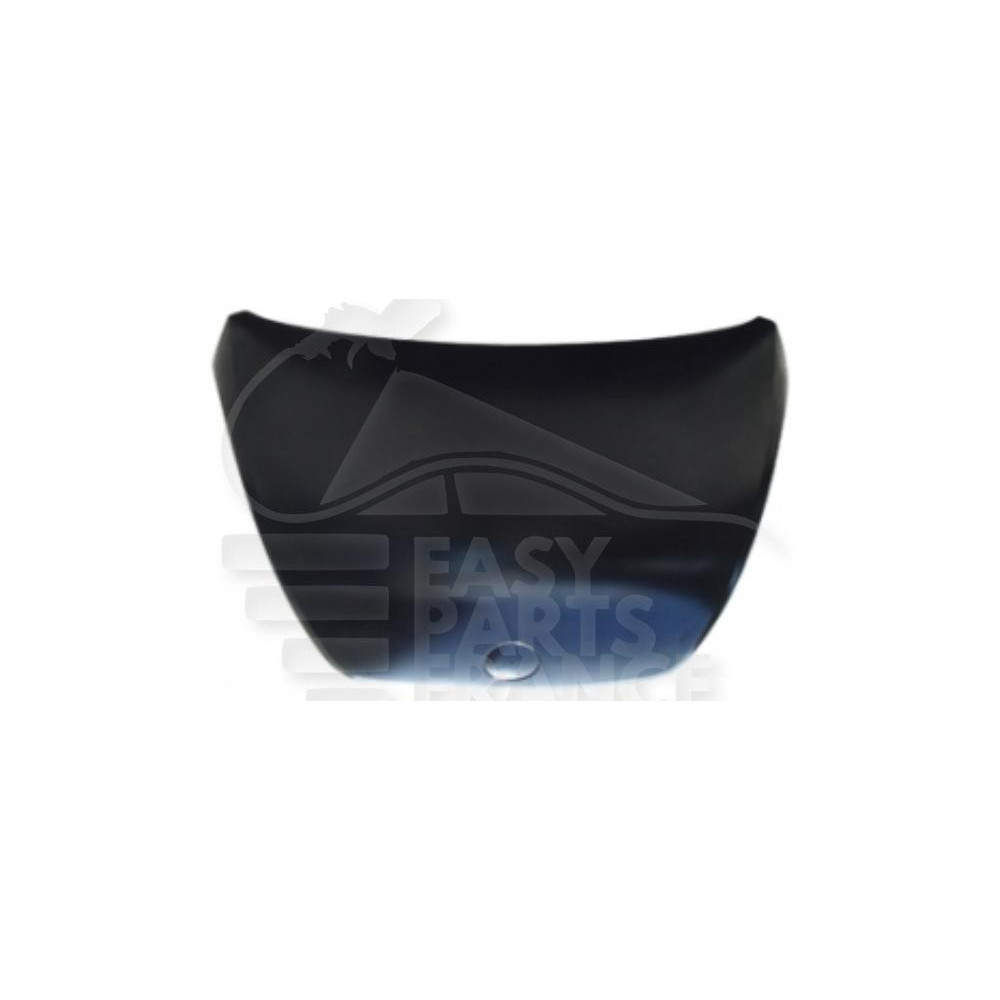 CAPOT pour VOLKSWAGEN NEW BEETLE